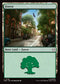 SPM 198 Forest (0198) L