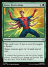 SPM 101 Grow Extra Arms C