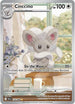 BLK 153/086 Cinccino IR