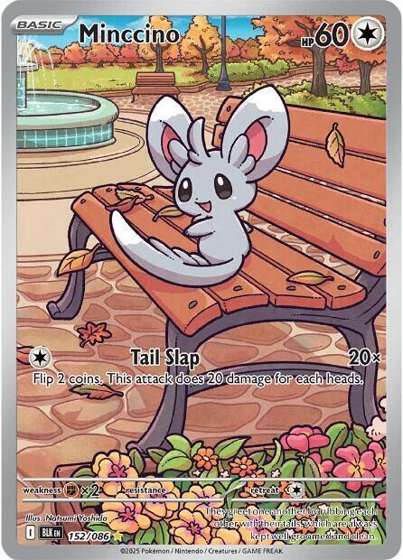 BLK 152/086 Minccino IR