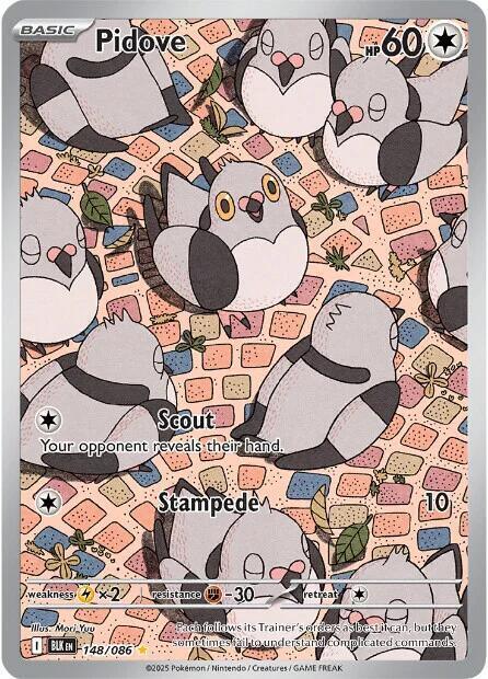 BLK 148/086 Pidove IR