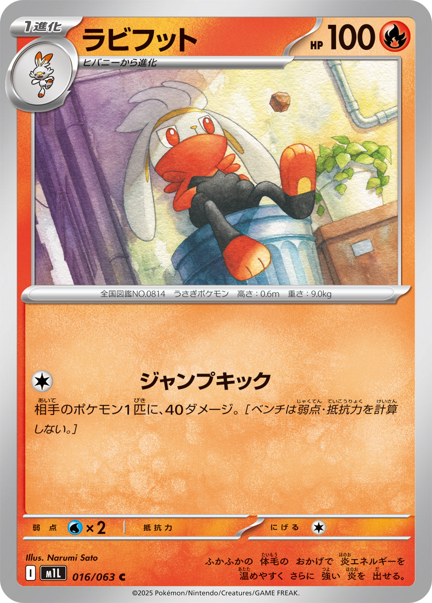 M1L 016/063 ラビフット C