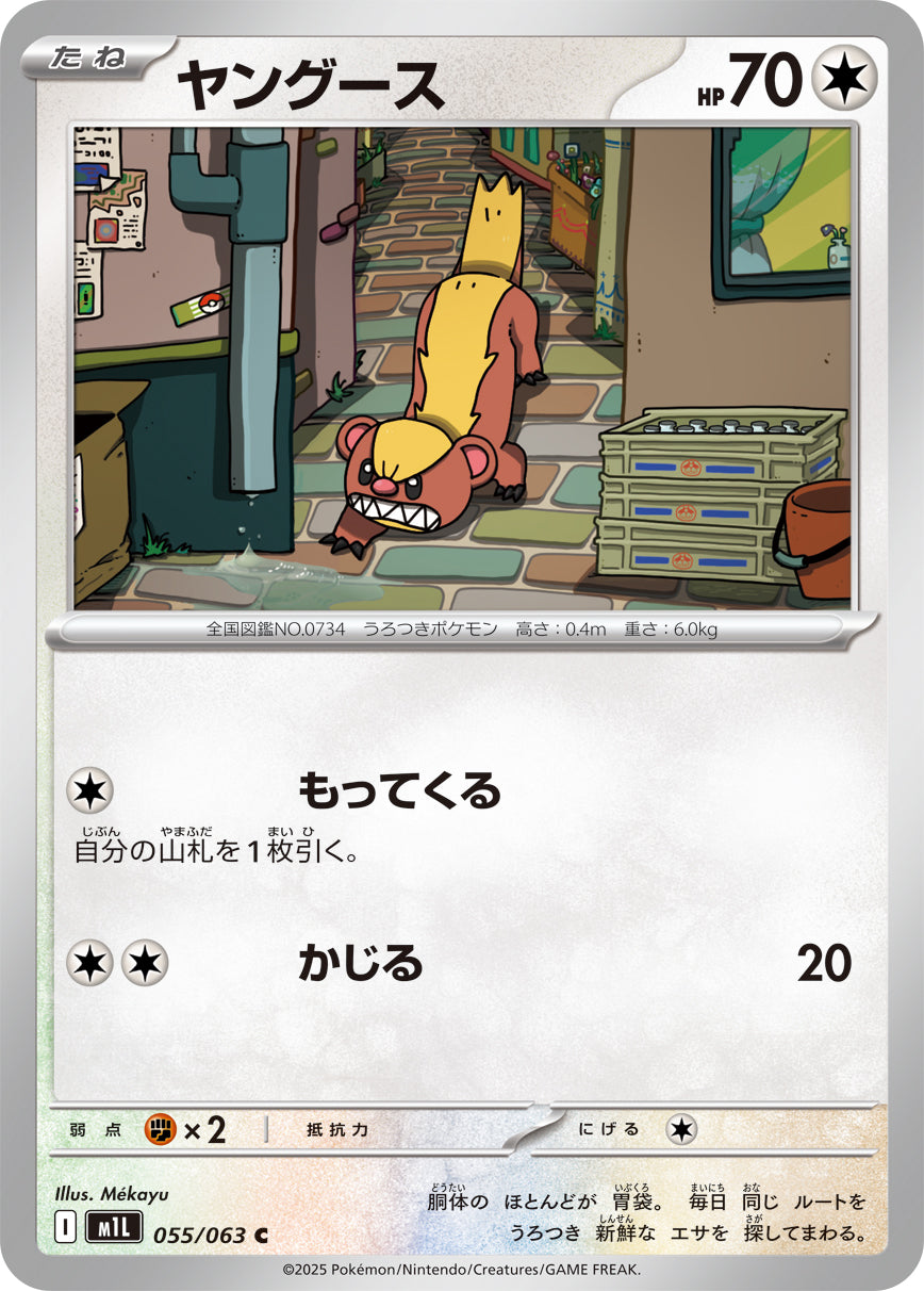 M1L 055/063 ヤングース C