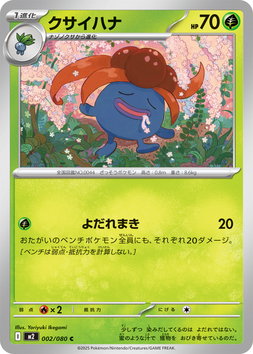 M2 002/080 クサイハナ C