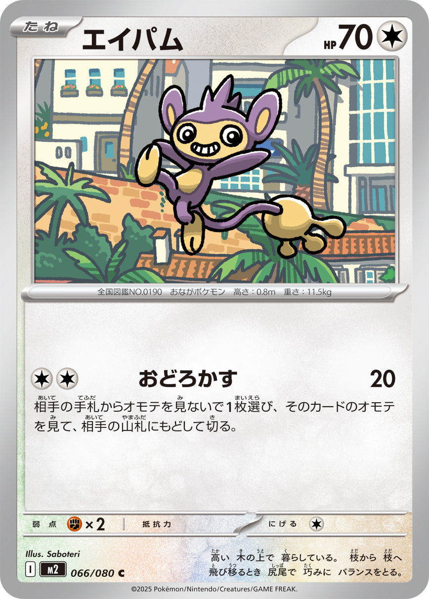 M2 066/080 エイパム C