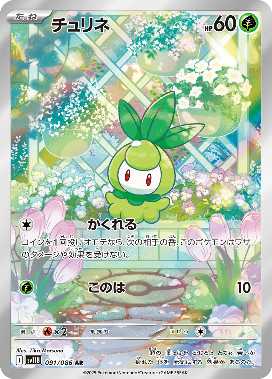SV11B 091/086 チュリネ AR