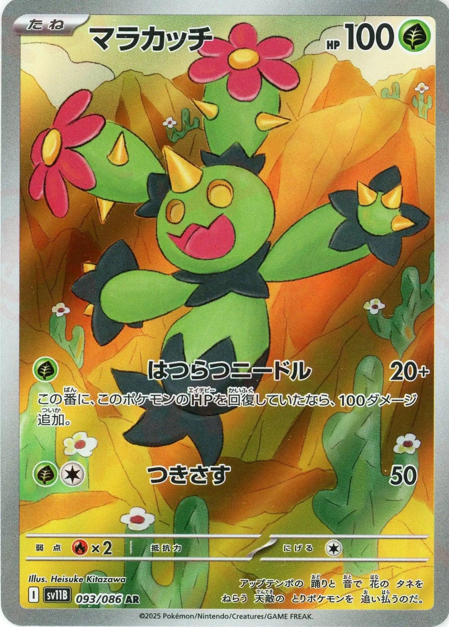 SV11B 093/086 マラカッチ AR