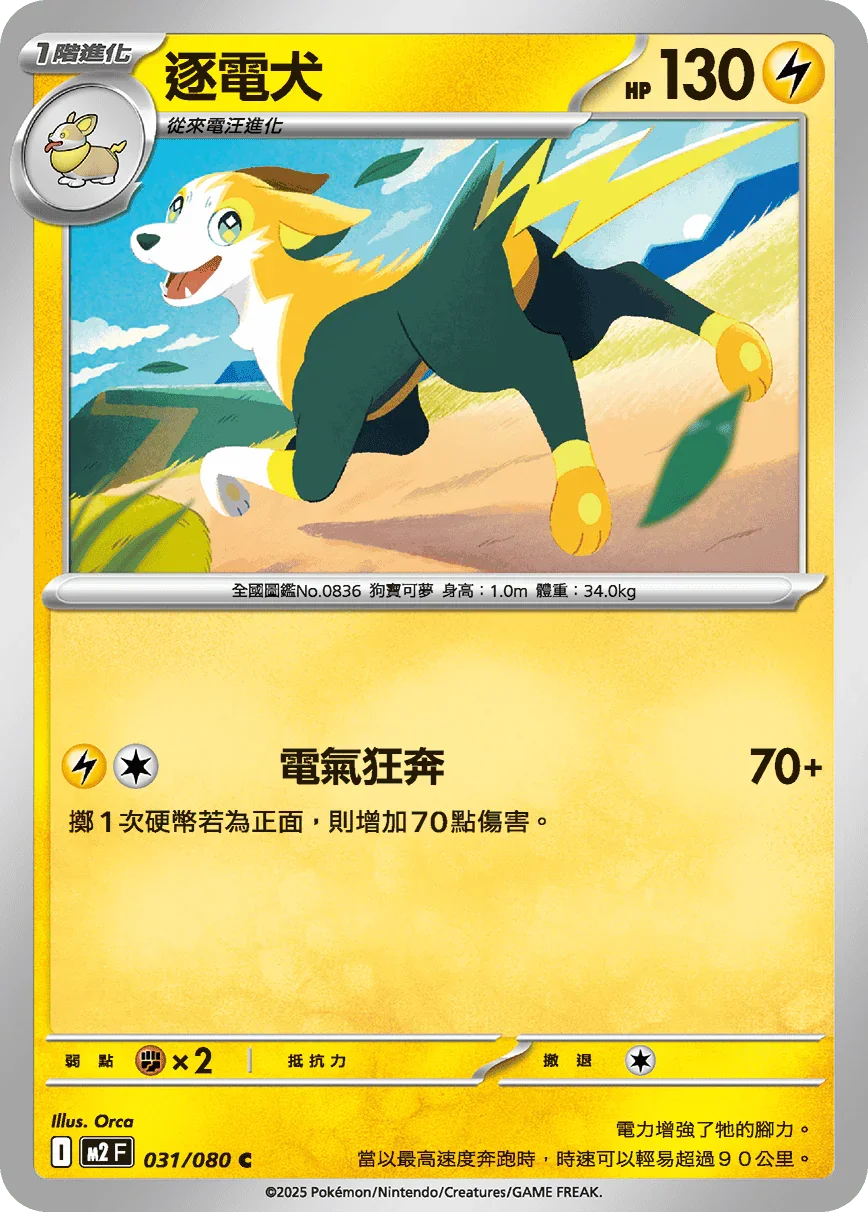M2F 031/080 逐電犬 C