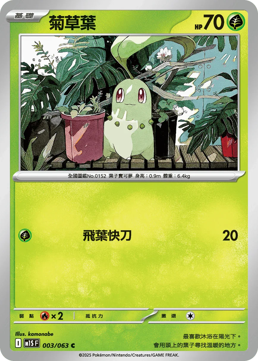 M1SF 003/063 菊草葉 C