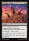 TLE 257 Feed the Swarm C