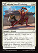 TLE 084 Sokka's Sword Training C