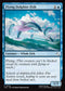 TLE 223 Flying Dolphin-Fish C