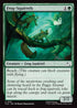 [Foil] TLE 251 Frog-Squirrels C
