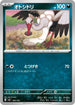 MC 485/742 オトシドリ