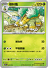 MCF 035/742 樹林龜 -