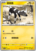 MCF 249/742 斑斑馬 -