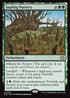 ECL 192 Sapling Nursery R