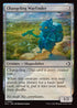 ECL 001 Changeling Wayfinder C