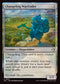 ECL 001 Changeling Wayfinder C
