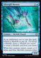 ECL 069 Silvergill Mentor U
