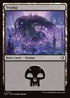 ECL 271 Swamp (0271) L