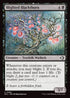 ECL 090 Blighted Blackthorn C