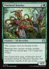 ECL 201 Vinebred Brawler U
