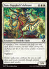 ECL 037 Sun-Dappled Celebrant C
