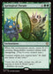 ECC 019 Springleaf Parade R