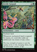 ECC 106 Fertile Ground C