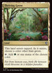 ECC 171 Thriving Grove C