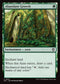 ECC 097 Abundant Growth C