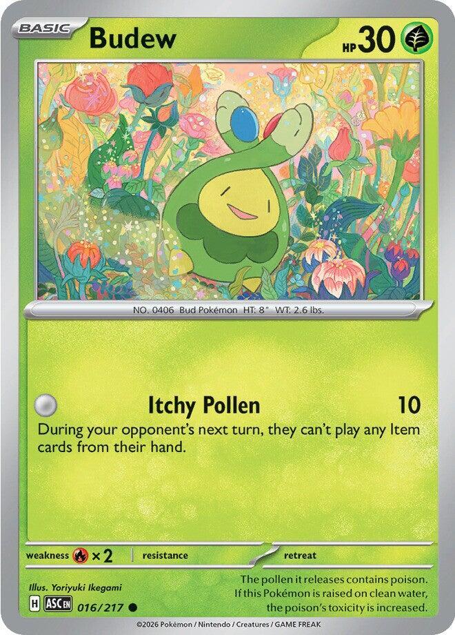 ASC 016/217 Budew C