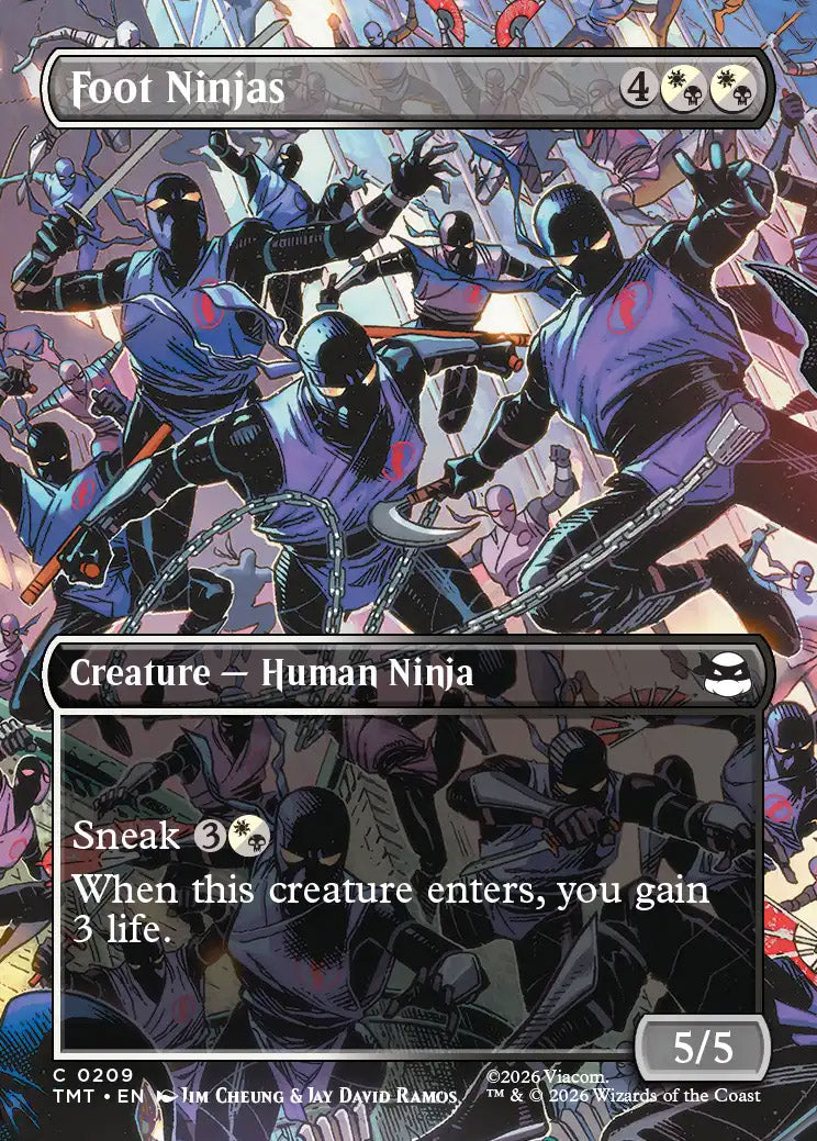 TMT 209 Foot Ninjas (0209 - Borderless) C