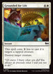 [Foil] TMT 007 Grounded for Life C