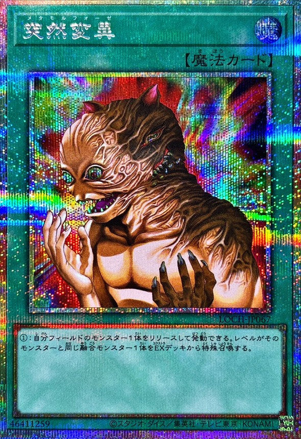 LOCH-JP067 突然変異 PSE