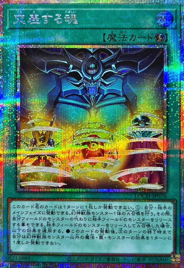 LOCH-JP076 交差する魂 PSE