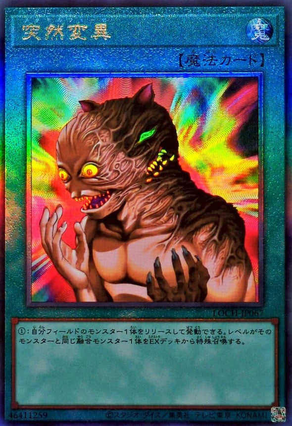 LOCH-JP067 突然変異 UL