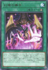 BPRO-JP068 幻惑の操手 R