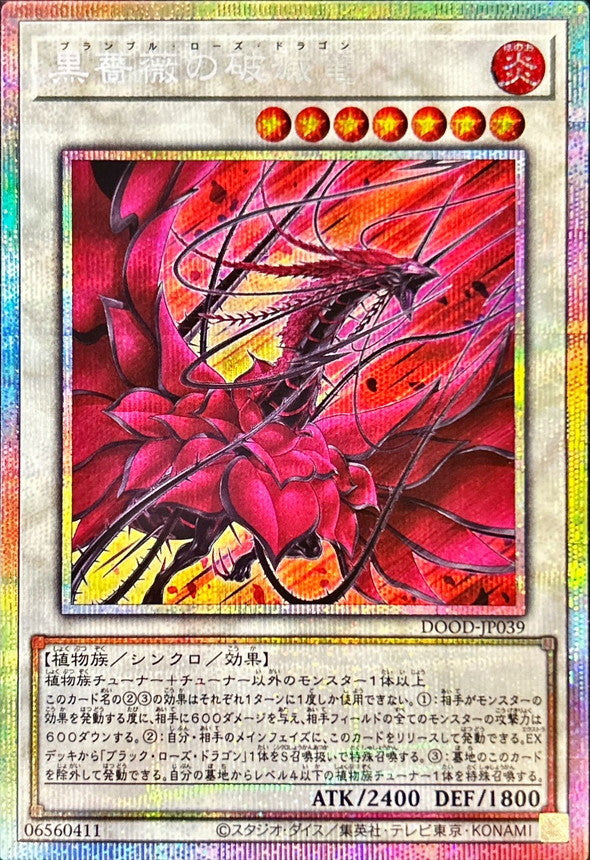 DOOD-JP039 黒薔薇の破滅竜 PSE