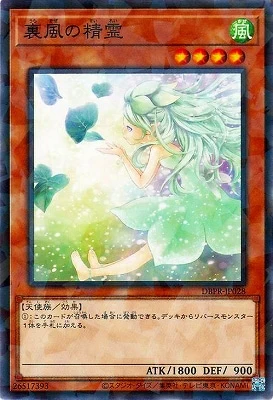 DBPR-JP028 裏風の精霊 P-N