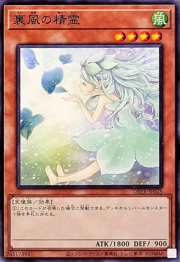 DBPR-JP028 裏風の精霊 N