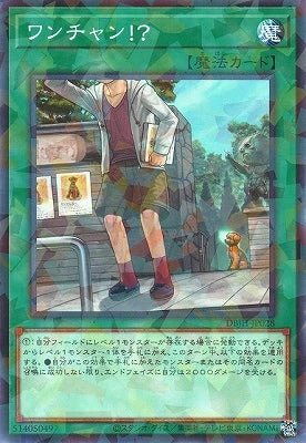 DBJH-JP028 ワンチャン！？ P-N