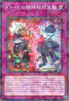 DBJH-JP041 K9-EW特殊解除実験 P-N