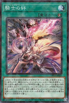 DBVS-JP022 騎士の絆 P-N