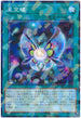 DBGC-JP031 星空蝶 P-N