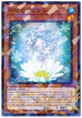 DBSS-JP014PA 六花のひとひら P-N