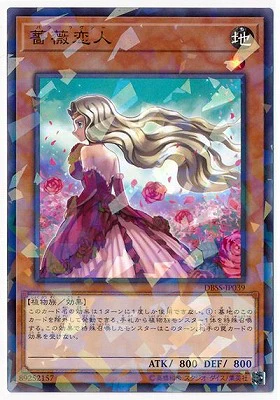 DBSS-JP039PA 薔薇恋人 P-N