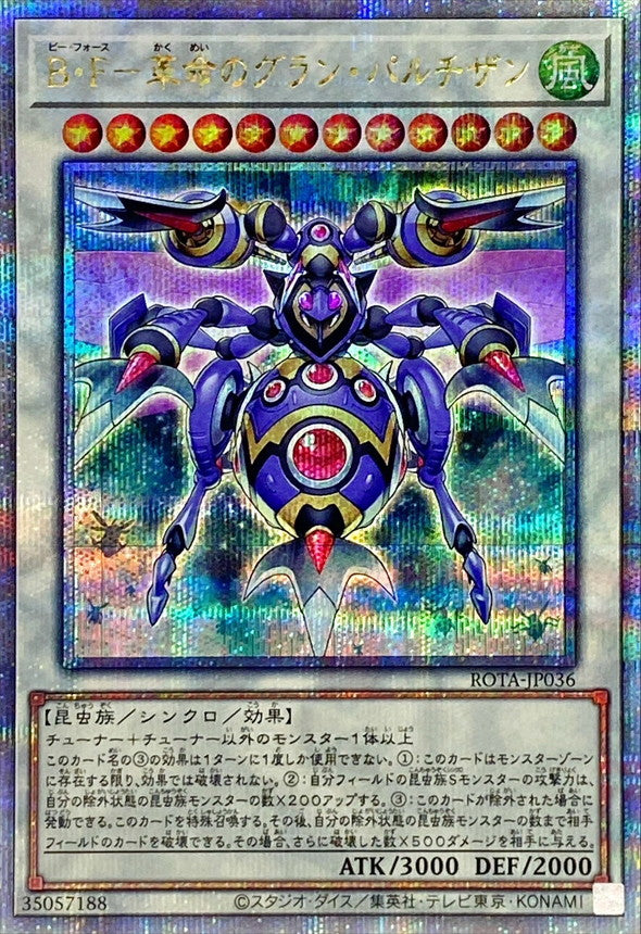 ROTA-JP036 BF革命のグランパルチザン QCSE