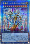 INFO-JP032 竜儀巧メテオニス=DAD QCSE